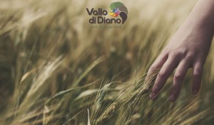 Locandina Viaggio Sensoriale nel Vallo di Diano: tre giorni e due notti in pensione completa
