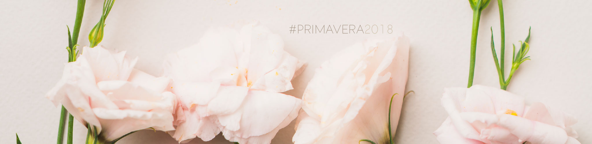 Tante novità ed eventi questo primavera nel nostro ristorante